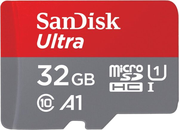 SanDisk 32GB micro card